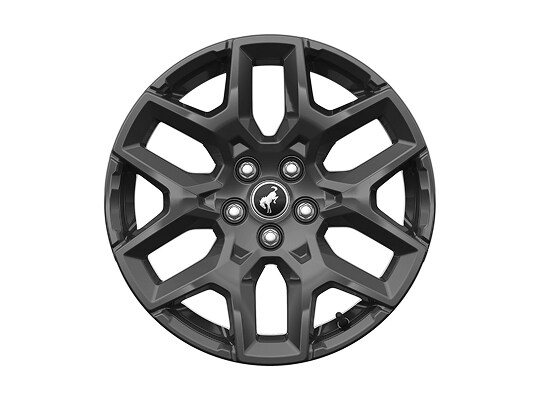 17 Carbonized Gray-Painted Aluminum