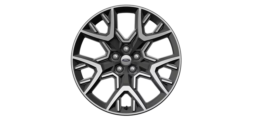 21-Inch Dark Alloy Painted Machined Aluminum