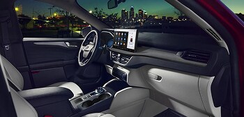 On-the-Go Comfort Zone