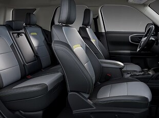 Dove Gray Inserts with Orchid Yellow Accents