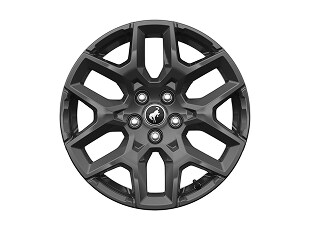 17 Carbonized Gray-Painted Aluminum