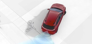 Reverse Brake Assist