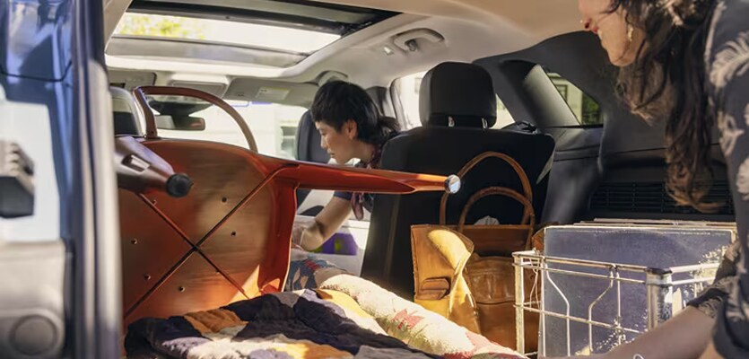 Cavernous Cargo Space