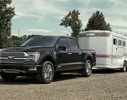 Step Up to F-150 Platinum PLus