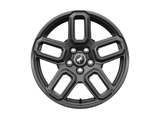 17 Carbonized Gray-Painted High Gloss Aluminum