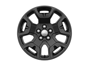 17 Matte Black Painted