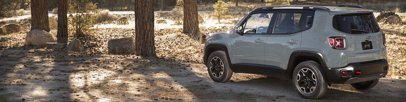 Jeep Renegade Anderson