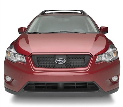 Sport Mesh Grille.jpg