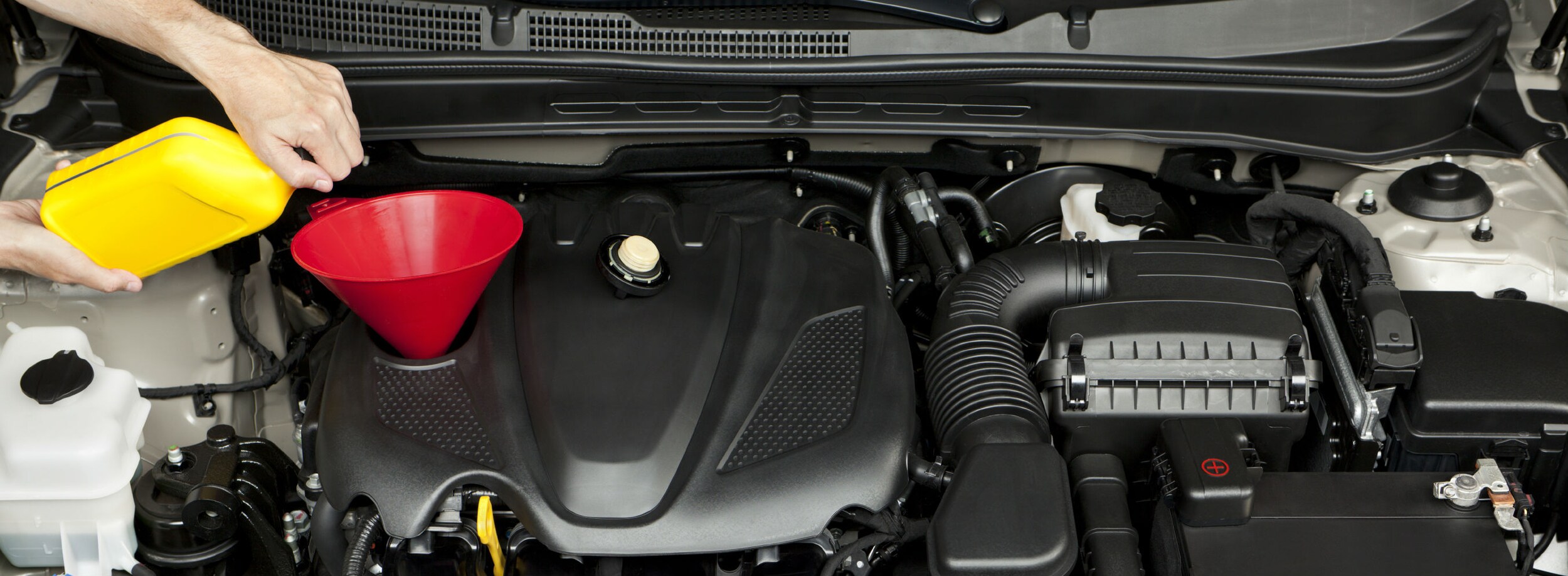 Ed Shults Subaru Oil Difference between synthetic and conventional oil