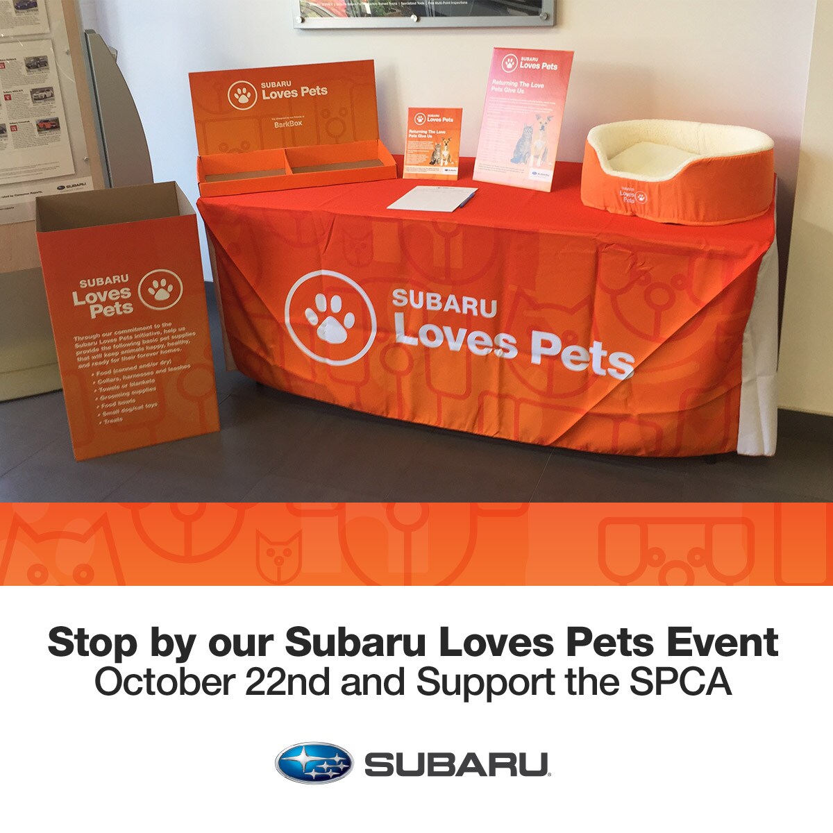 Subaru Loves Pets