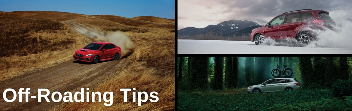 Off-Roading Tips.jpg
