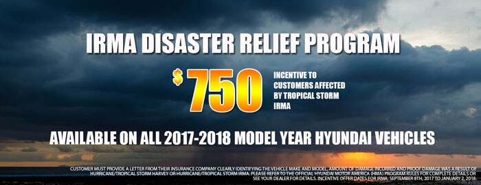 IRMA-INCENTIVEsm.jpg
