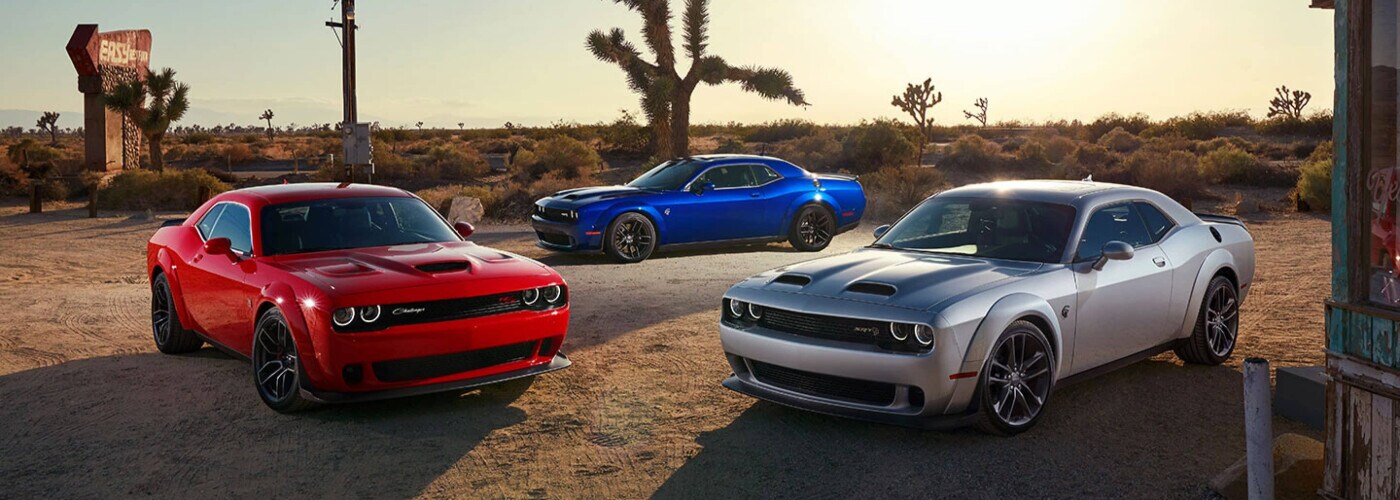 Dodge Page.jpeg