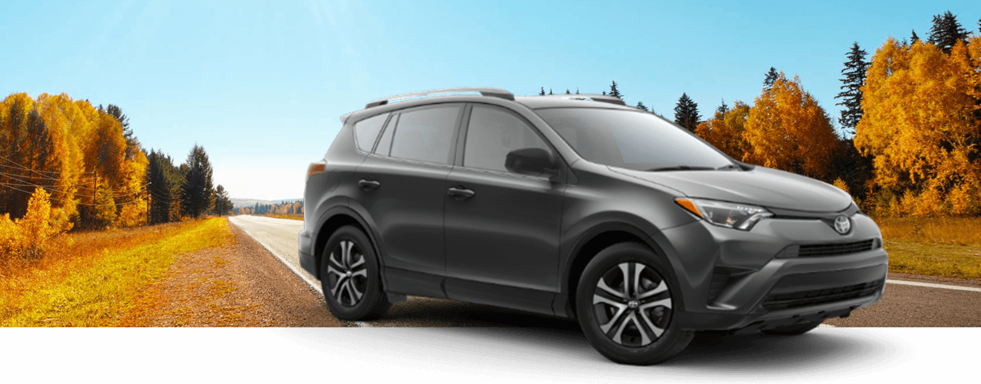 2018 Toyota RAV4 mlp banner.png