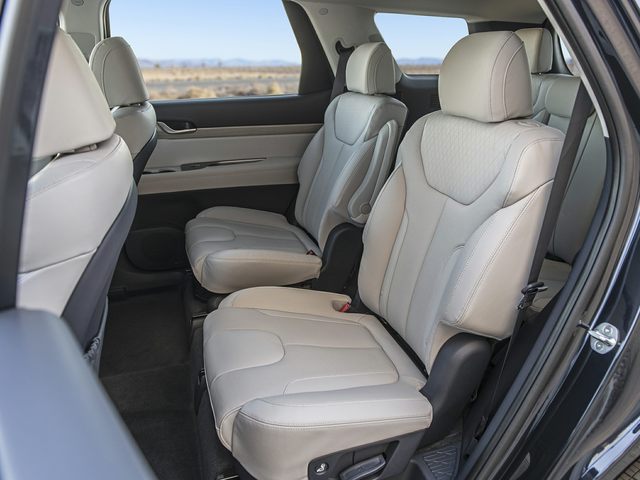Hyundai Palisade Back Seats.jpg