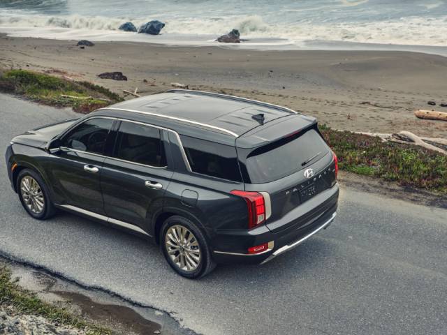 Hyundai Palisade Top View.jpg