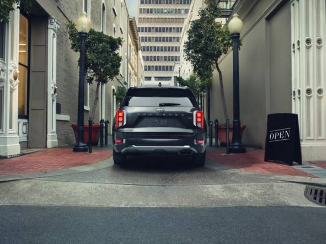 Hyundai Palisade Back View.jpg