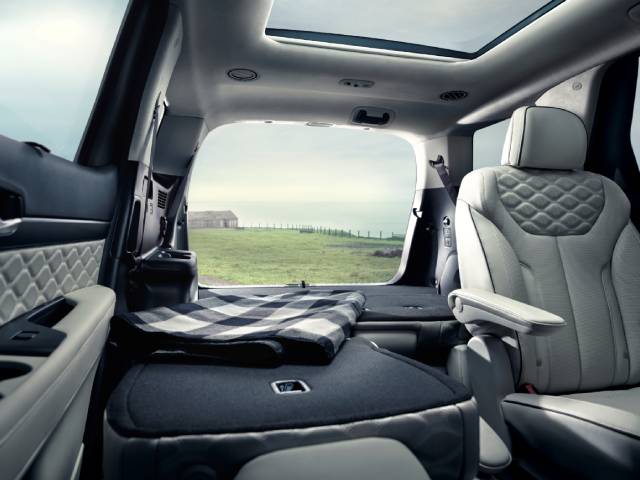 Hyundai Palisade Back.jpg