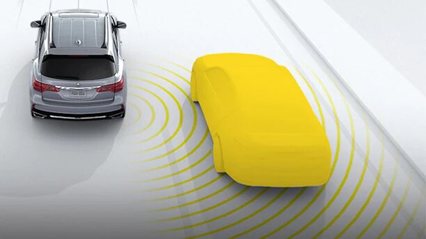 blind spot blind spot