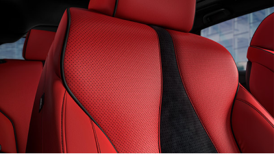 alcantara.png