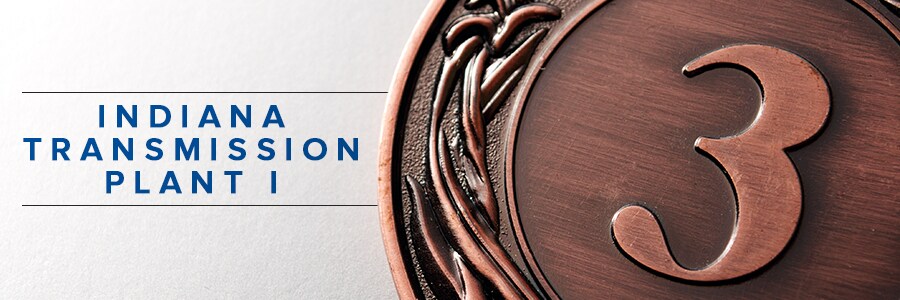 ITPI-Bronze.png