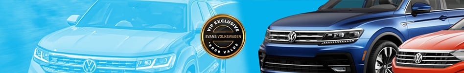 VWSRPVIP.png