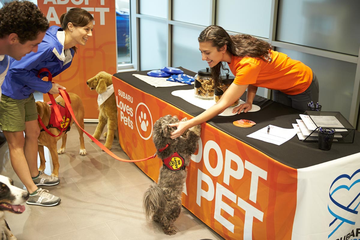 Adopt-a-pet-love-promise.jpg