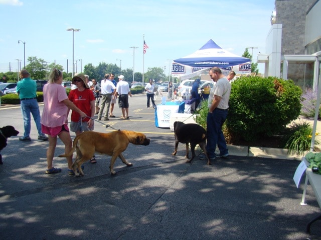 DSC05096.jpg
