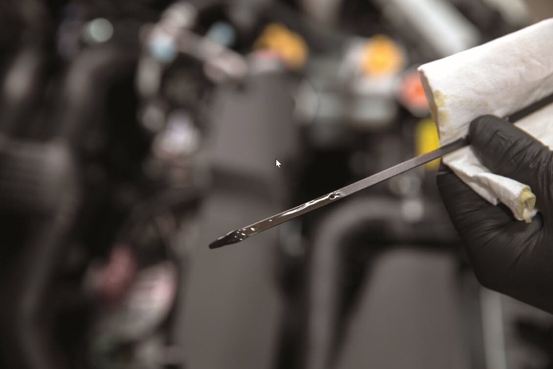 Check your oil using your dip stick.jpg Checking oil levels using the dip stick