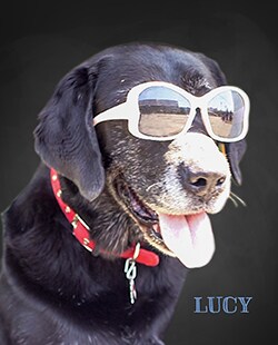 LucyB.jpg