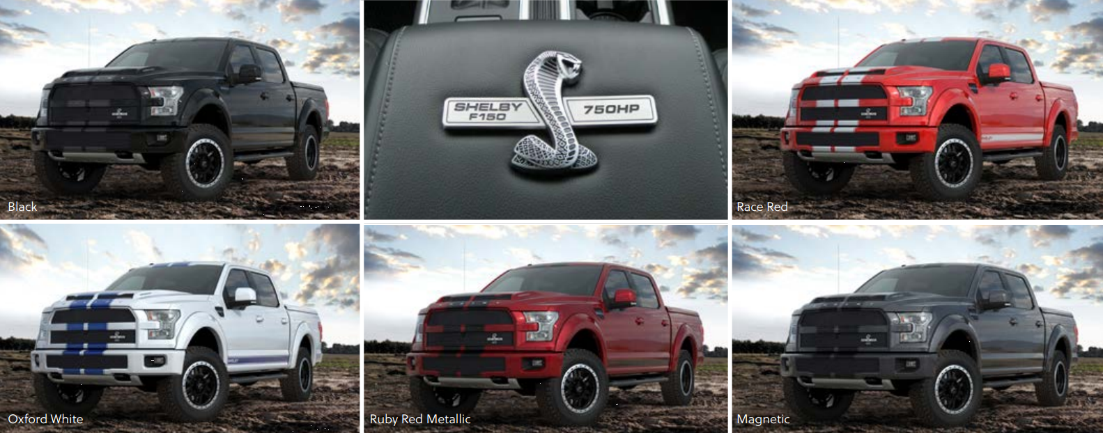 shelbytrucklineup.png