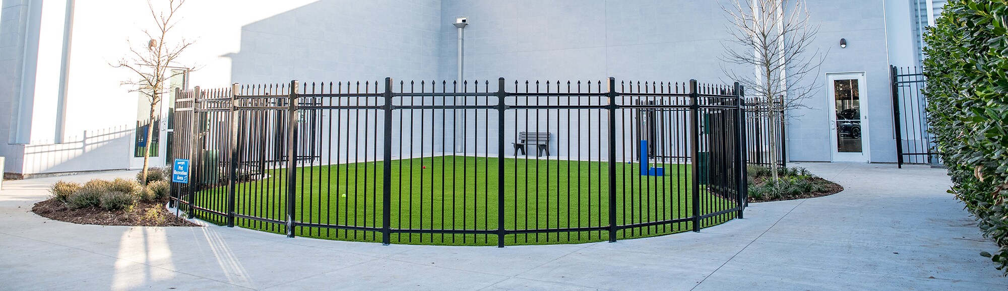 Dog Park - Full View.jpg