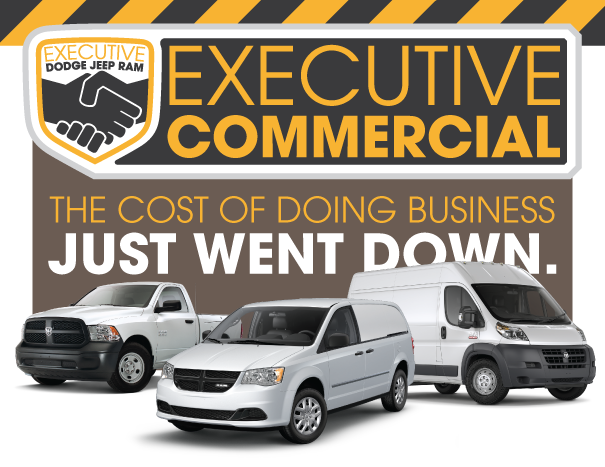 Executive Commercial Vehicles