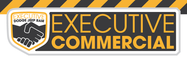 Executive Commercial Vehicles