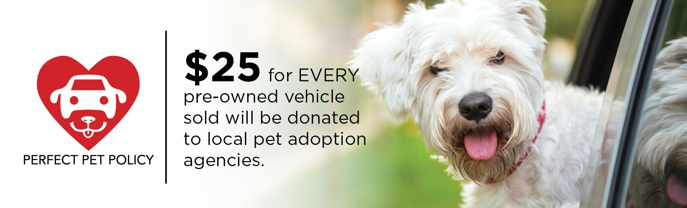 Pet Adoption.png