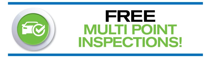 Multi Point Inspections for Life