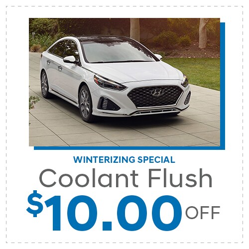Coupon-3.png