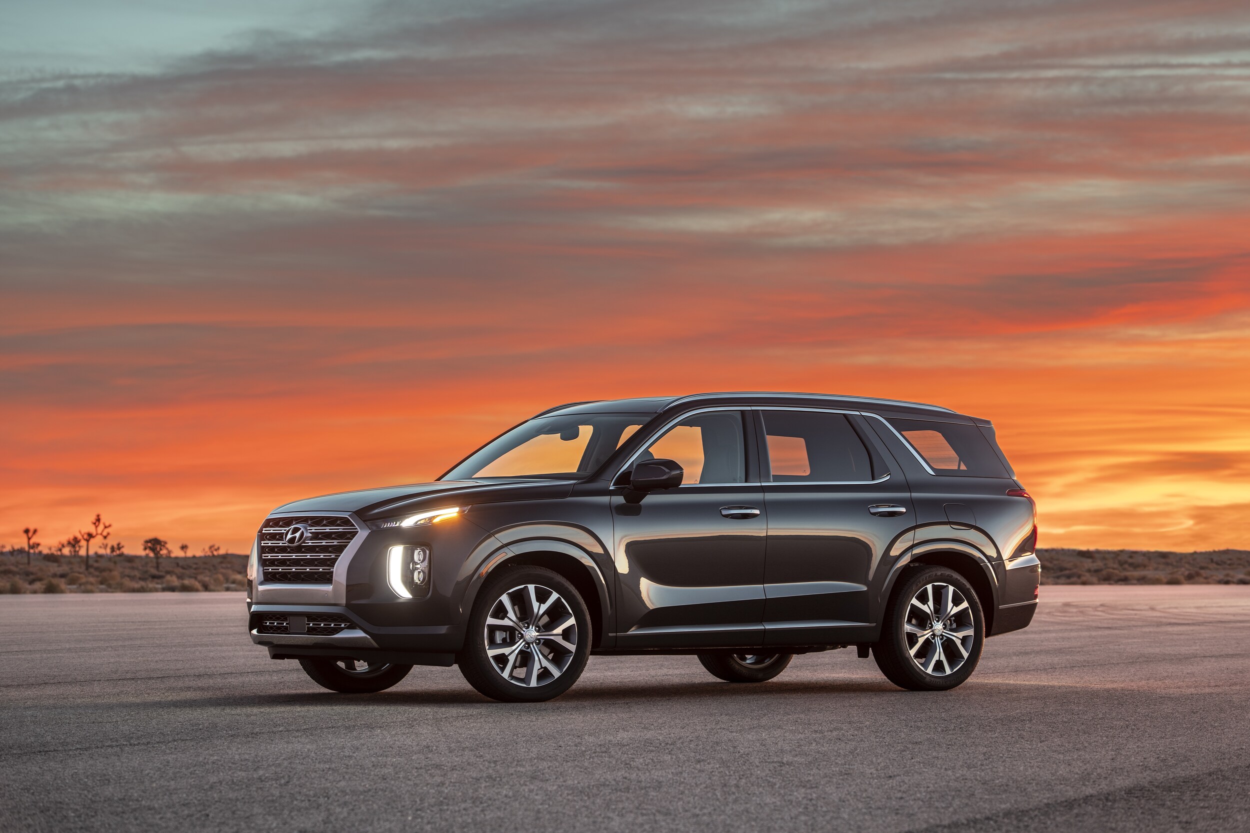 Large-34845-2020Palisade.jpg