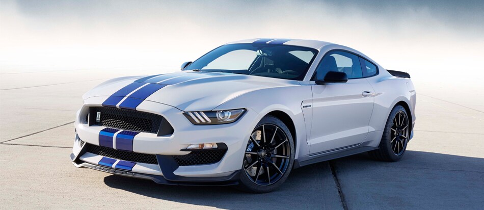 Mustang-Header.png