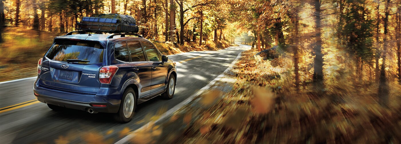 Subaru Outdoor Added Security.png