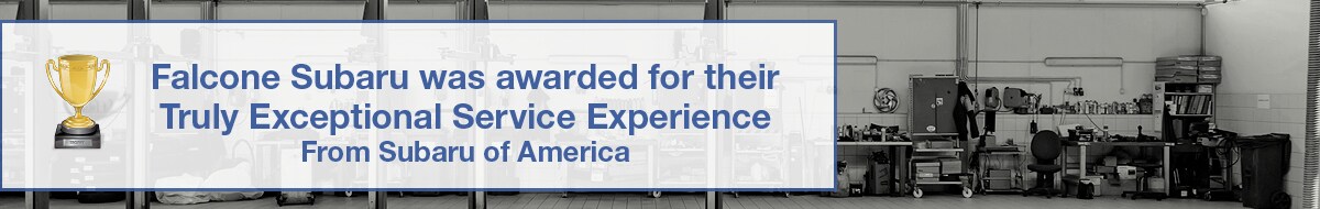 Exceptional Service Award