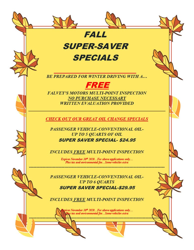 Serive Fall FB1024_1.jpg