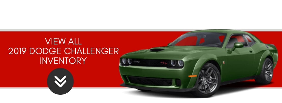 dodge challenger top of page.png