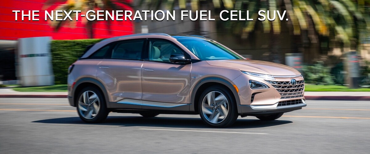 2019 Hyundai Nexo Chicago IL