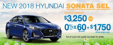 49778-FHYN-SpecialsPage-April_375x150Sonata2.jpg