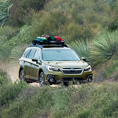 Outback Small 1.jpg