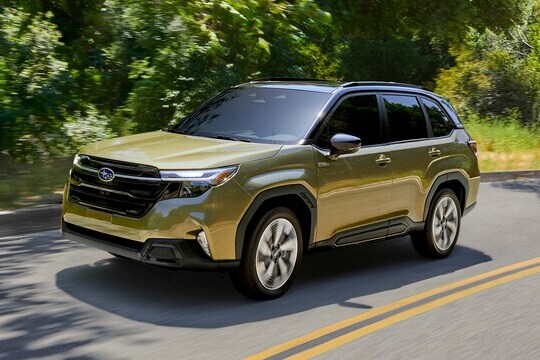 Forester Hybrid