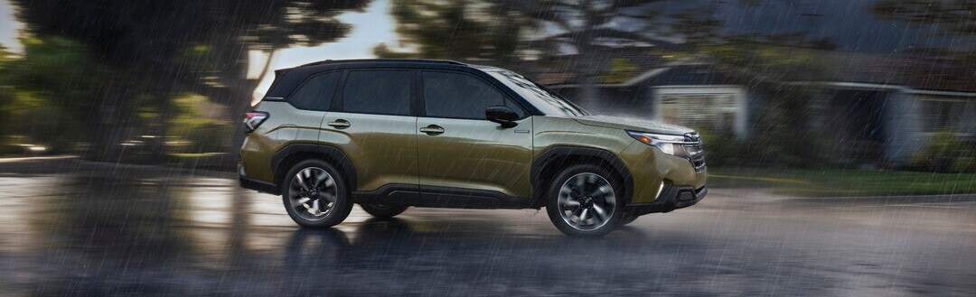 Forester Hybrid