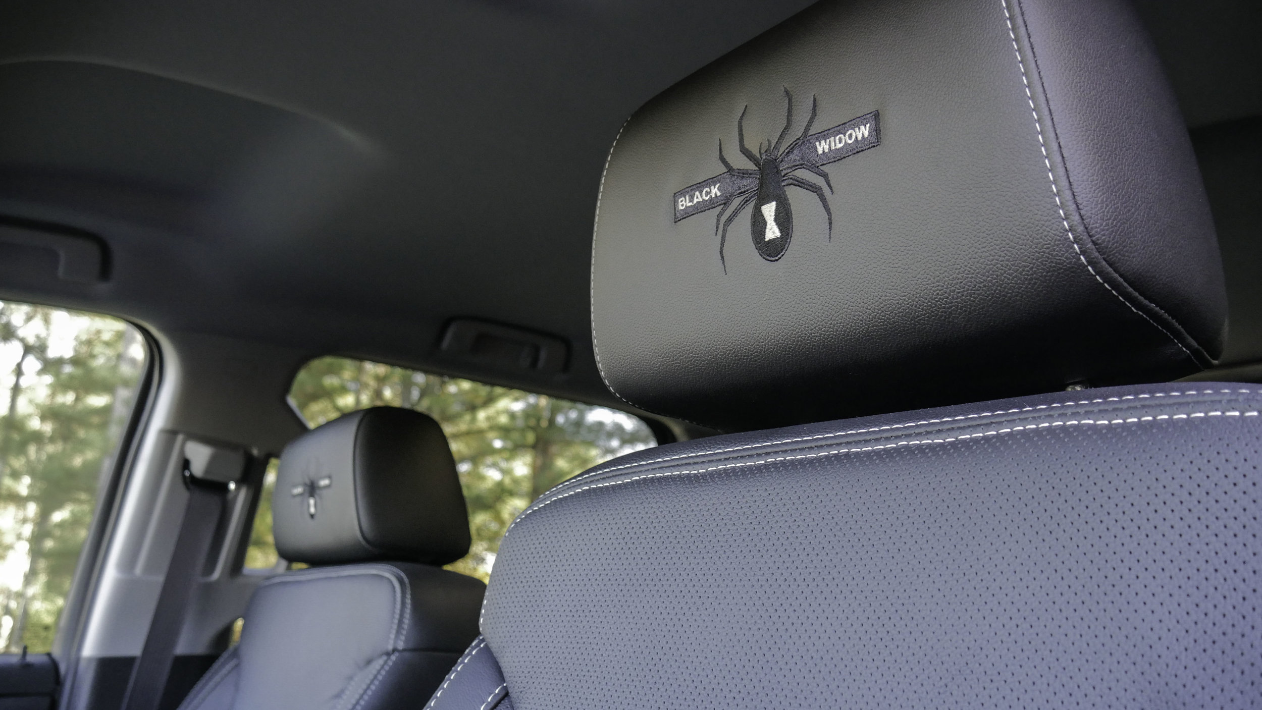 Chevy+AFBW+Headrest.jpg