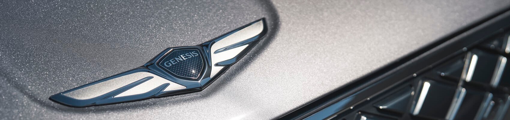 Options and Accessories for Customizing Your Genesis